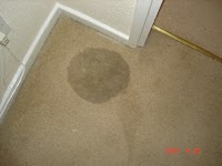 N.J.Sealey Carpet Cleaning 359528 Image 1